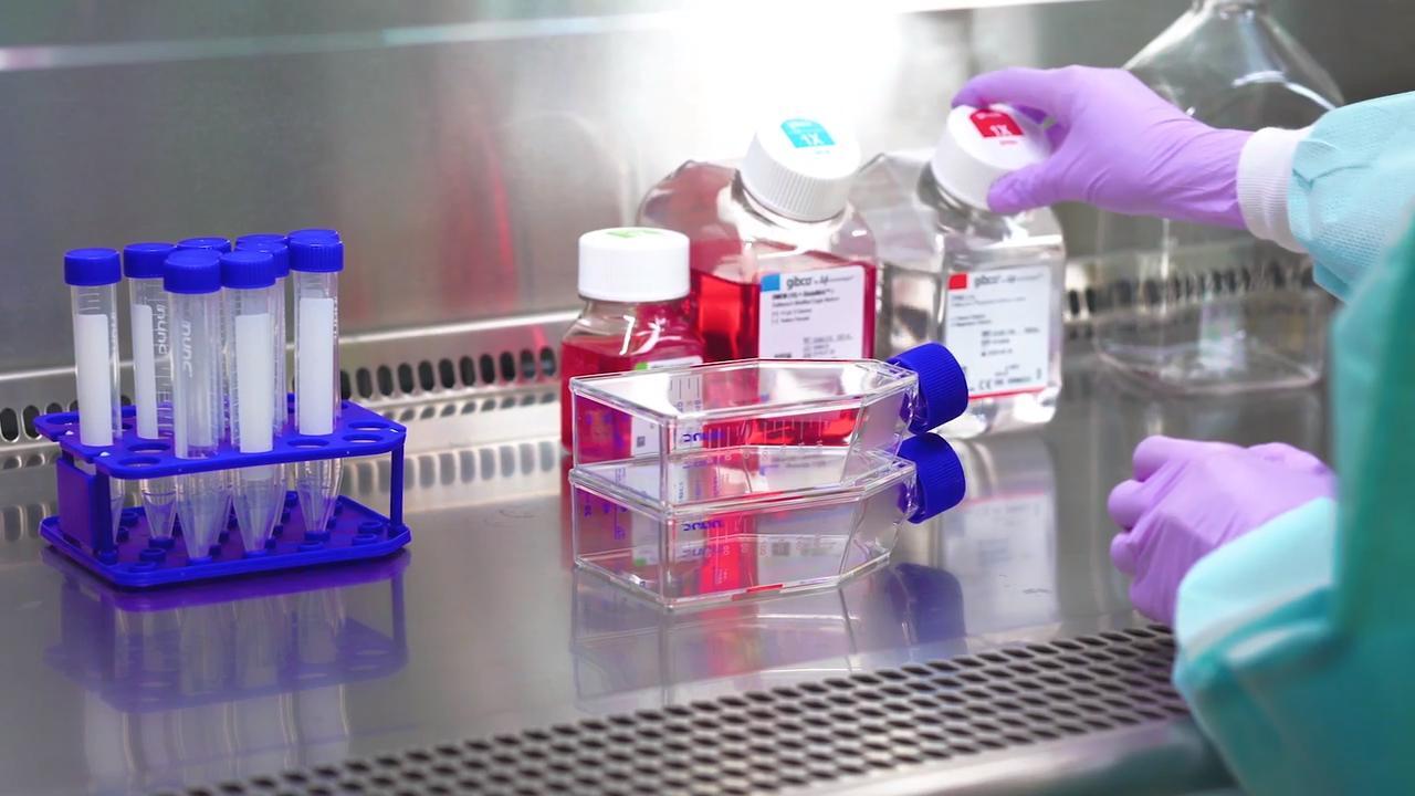 Cell Culture Process Diagram